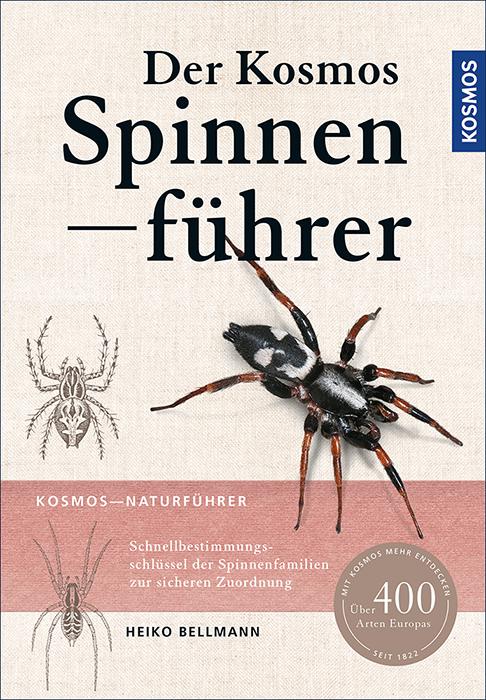 Cover-Bild Der Kosmos Spinnenführer