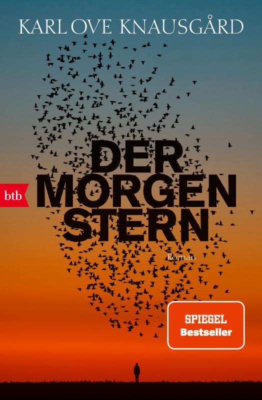 Cover-Bild Der Morgenstern