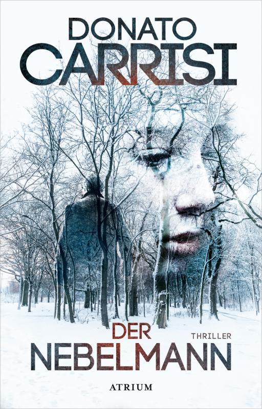 Cover-Bild Der Nebelmann