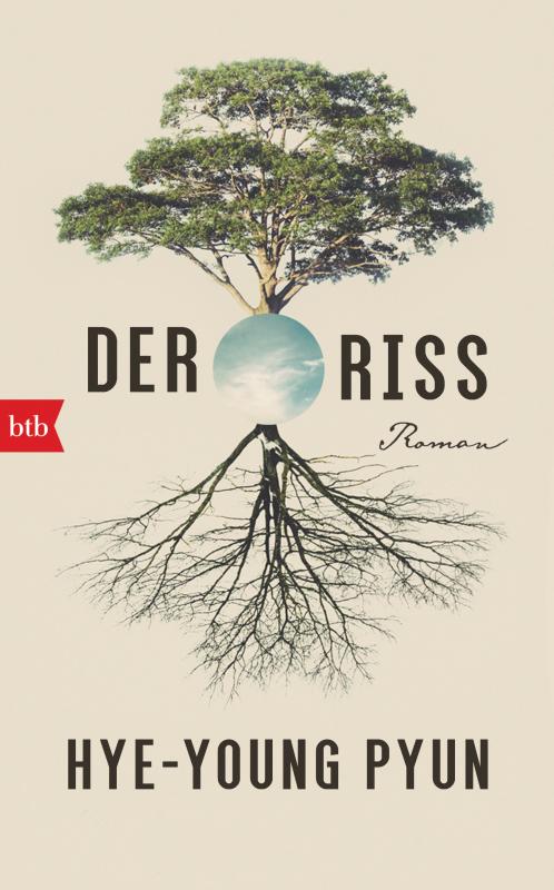 Cover-Bild Der Riss