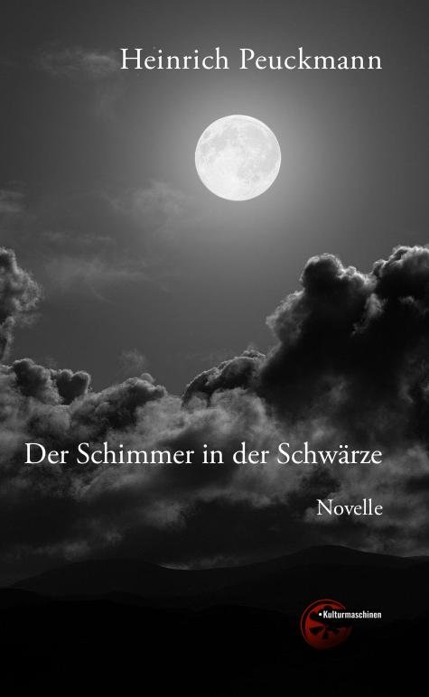 Cover-Bild Der Schimmer in der Schwärze