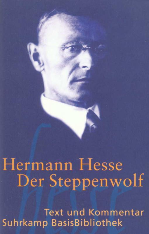 Cover-Bild Der Steppenwolf