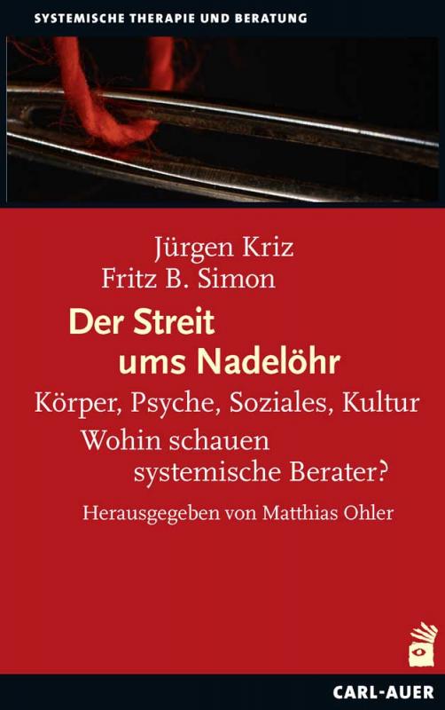 Cover-Bild Der Streit ums Nadelöhr