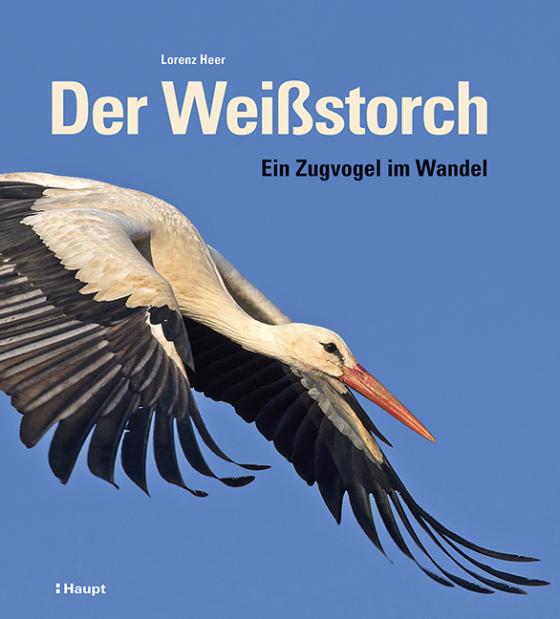 Cover-Bild Der Weißstorch