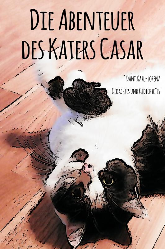 Cover-Bild Die Abenteuer des Katers Casar