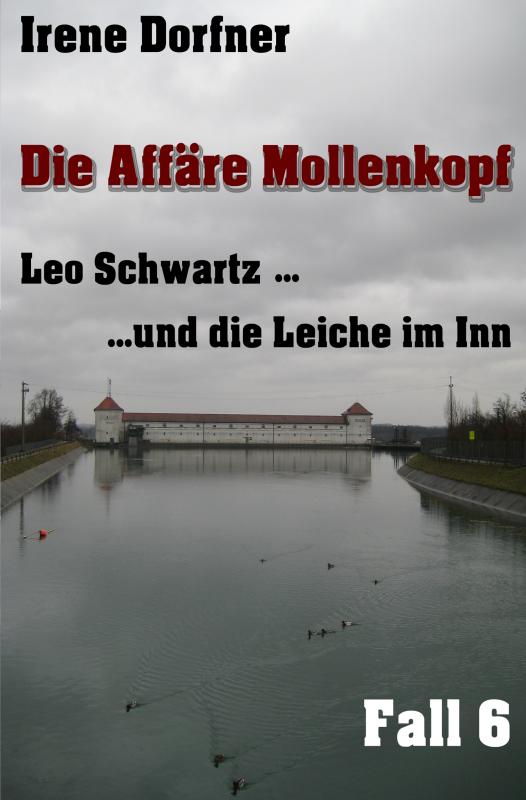 Cover-Bild Die Affäre Mollenkopf