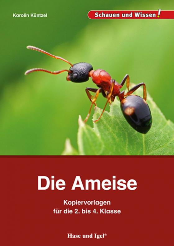 Cover-Bild Die Ameise – Kopiervorlagen für die 2. bis 4. Klasse