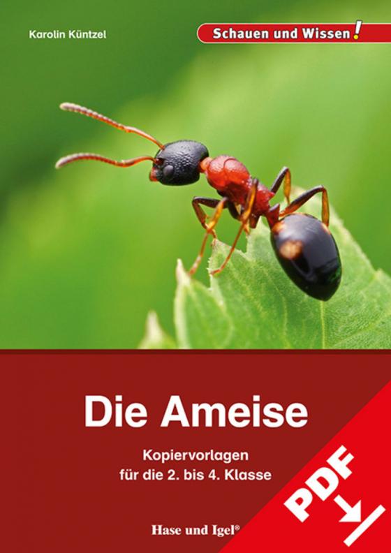 Cover-Bild Die Ameise – Kopiervorlagen für die 2. bis 4. Klasse