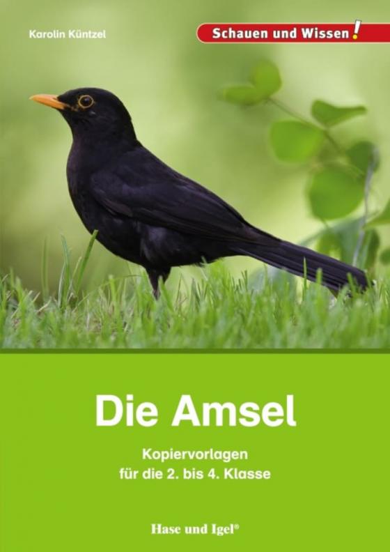 Cover-Bild Die Amsel – Kopiervorlagen für die 2. bis 4. Klasse