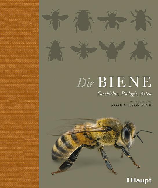 Cover-Bild Die Biene
