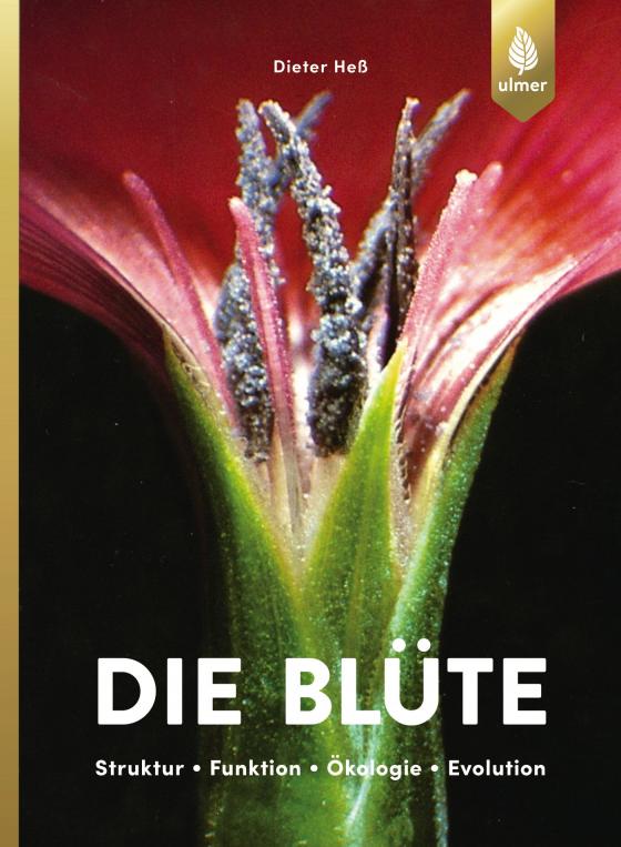 Cover-Bild Die Blüte