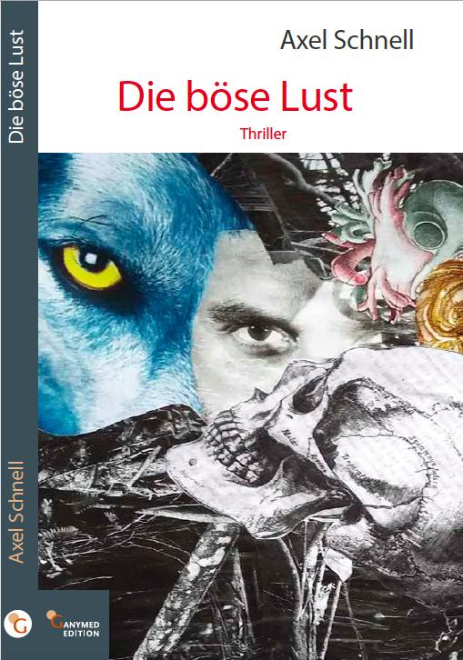 Cover-Bild Die böse Lust