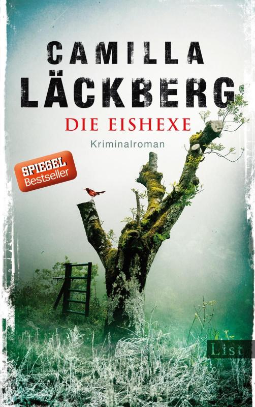 Cover-Bild Die Eishexe