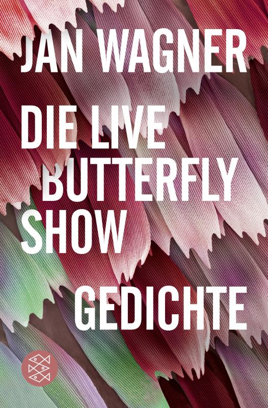 Cover-Bild Die Live Butterfly Show