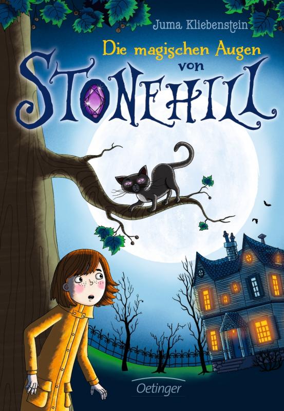 Cover-Bild Die magischen Augen von Stonehill