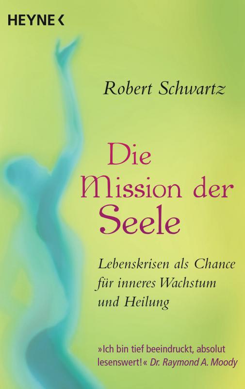 Cover-Bild Die Mission der Seele