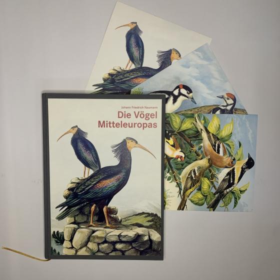 Cover-Bild Die Vögel Mitteleuropas (Luxusausgabe im Großformat)