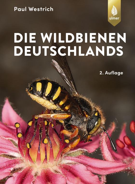 Cover-Bild Die Wildbienen Deutschlands