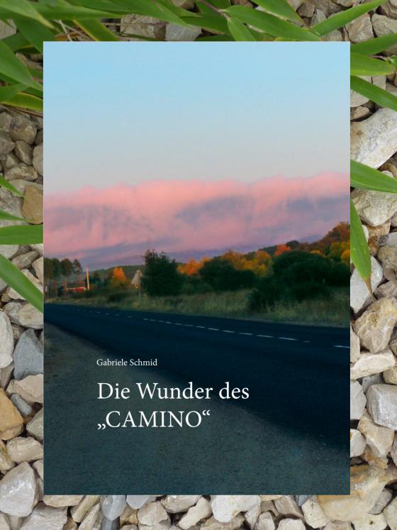 Cover-Bild Die Wunder des "Camino"