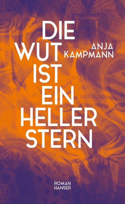 Cover-Bild Die Wut ist ein heller Stern