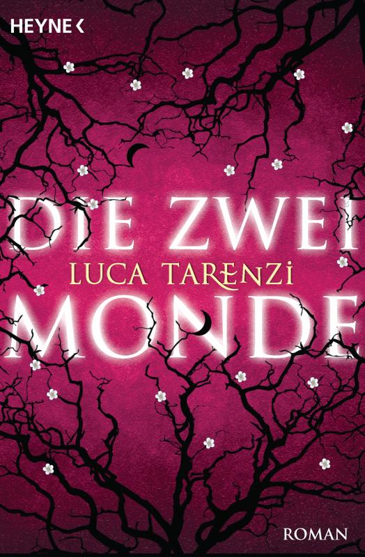 Cover-Bild Die zwei Monde