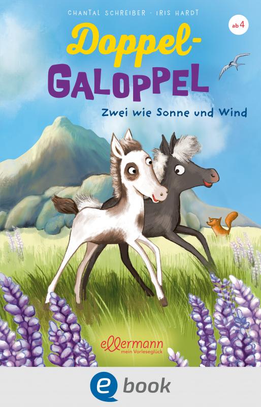 Cover-Bild Doppel-Galoppel 1. Zwei wie Sonne und Wind