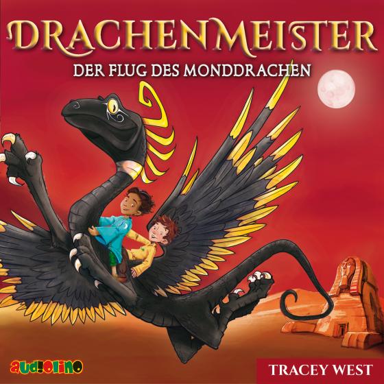Cover-Bild Drachenmeister (6)