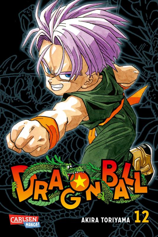 Cover-Bild Dragon Ball Massiv 12