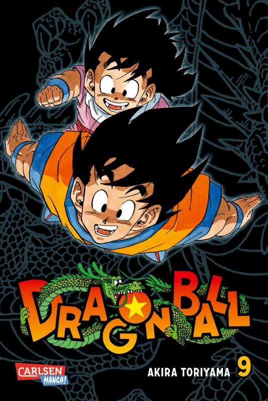 Cover-Bild Dragon Ball Massiv 9