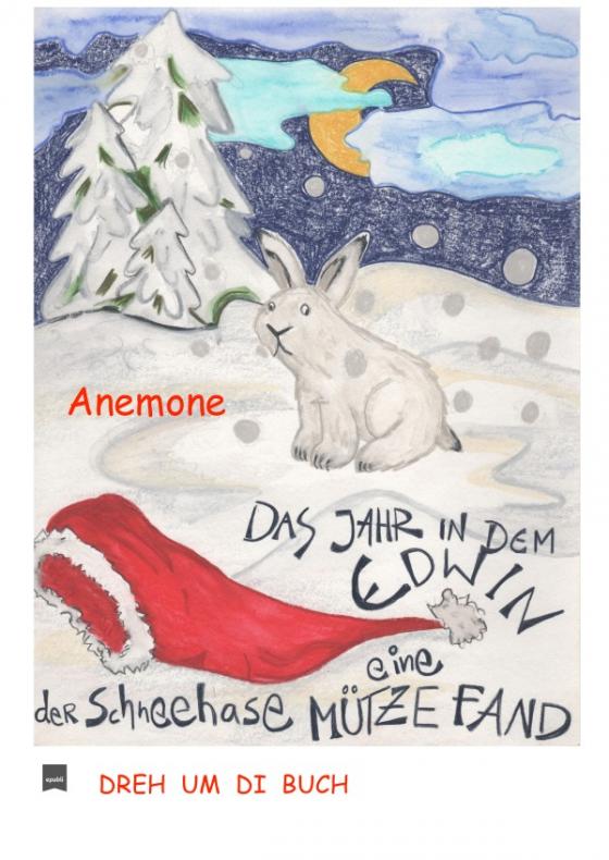 Cover-Bild Dreh um di Buch / Dreh um di Buch, das Jahr in dem Edwin der Schneehase eine Mütze fand/Tom der Weihnachtsmann seine Zipfelmütze verlor