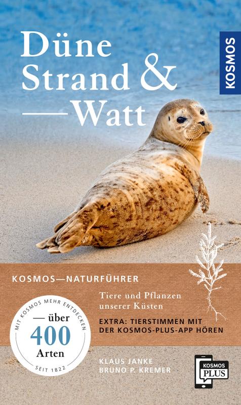 Cover-Bild Düne, Strand und Watt