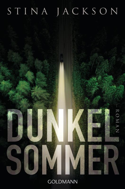 Cover-Bild Dunkelsommer