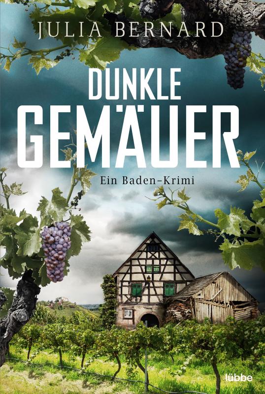 Cover-Bild Dunkle Gemäuer