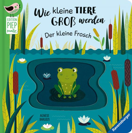 Cover-Bild Edition Piepmatz: Wie kleine Tiere groß werden: Der kleine Frosch