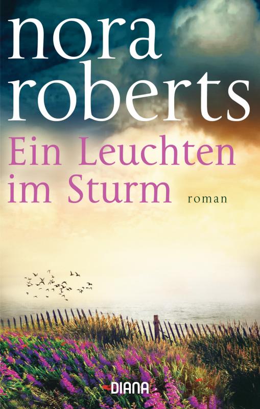 Cover-Bild Ein Leuchten im Sturm