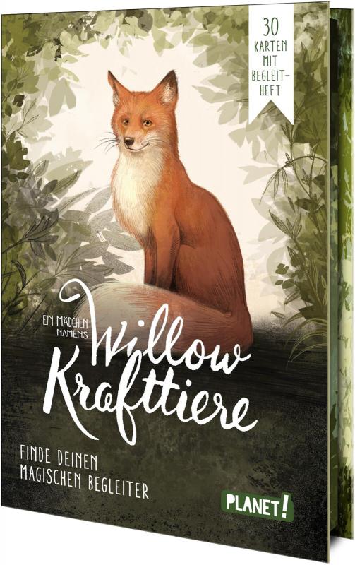 Cover-Bild Ein Mädchen namens Willow: Krafttiere