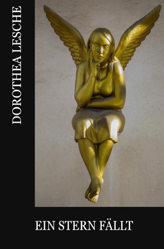 Cover-Bild Ein Stern fällt