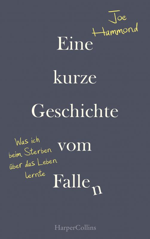 Cover-Bild Eine kurze Geschichte vom Fallen – Was ich beim Sterben über das Leben lernte