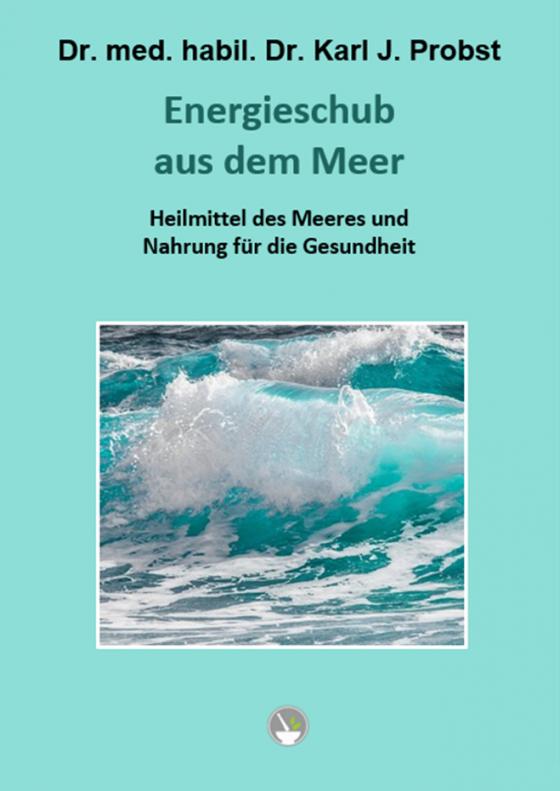 Cover-Bild Energieschub aus dem Meer