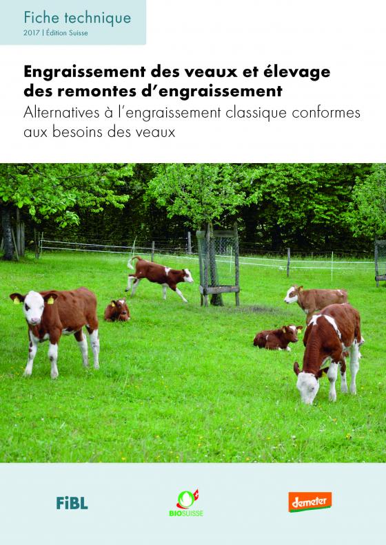 Cover-Bild Engraissement des veaux et élevage des remontes d’engraissement