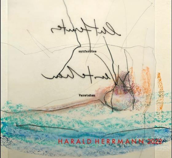 Cover-Bild Entferntes Verstehen