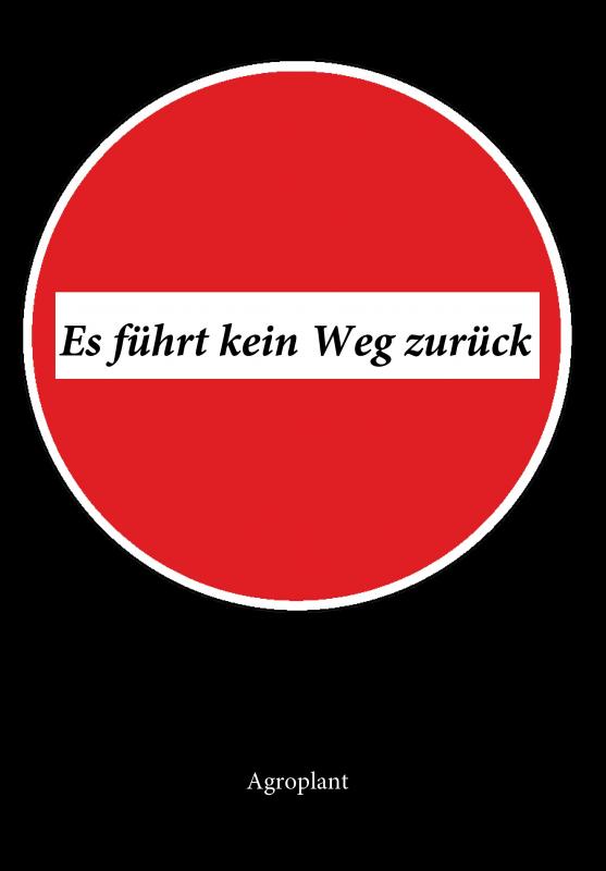 Cover-Bild Es führt kein Weg zurück