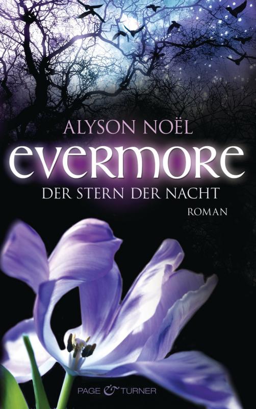 Cover-Bild Evermore - Der Stern der Nacht