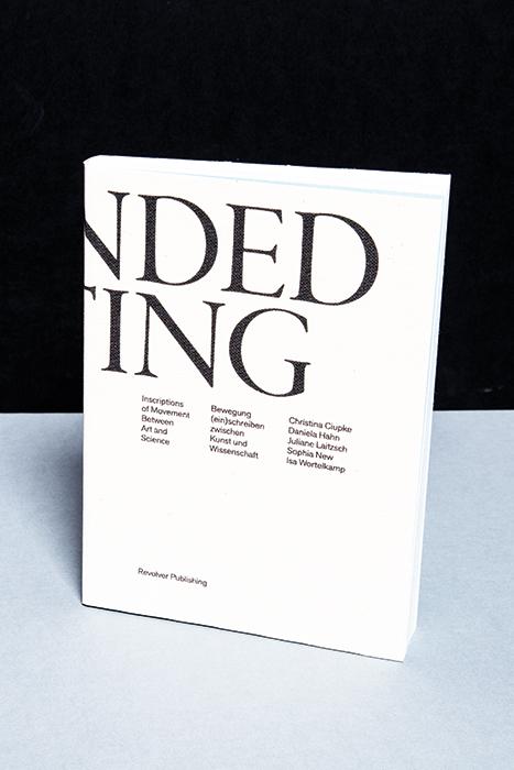 Cover-Bild Expanded Writing.