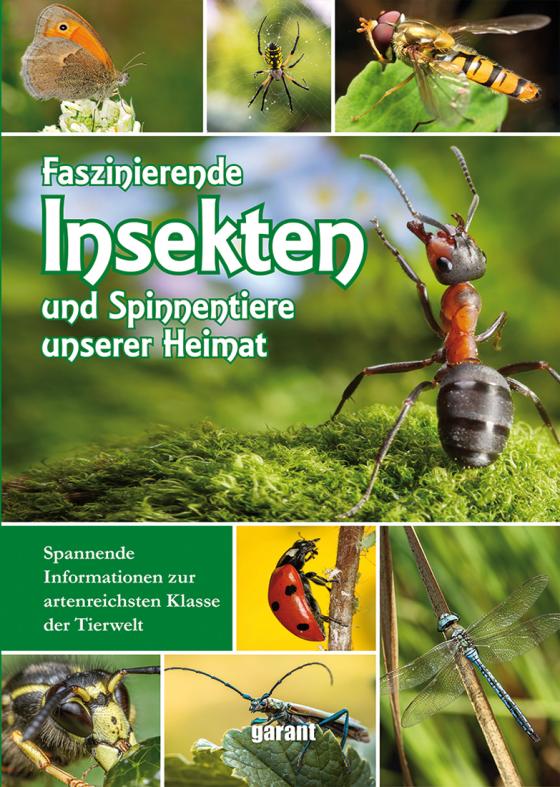 Cover-Bild Faszinierende Insekten und Spinnentiere unserer Heimat
