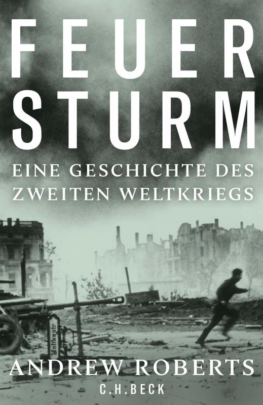 Cover-Bild Feuersturm