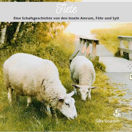 Cover-Bild FIETE - Eine Schafsgeschichte von den Inseln Amrum, Föhr und Sylt