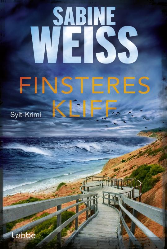 Cover-Bild Finsteres Kliff