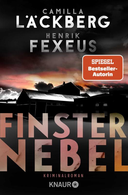 Cover-Bild Finsternebel