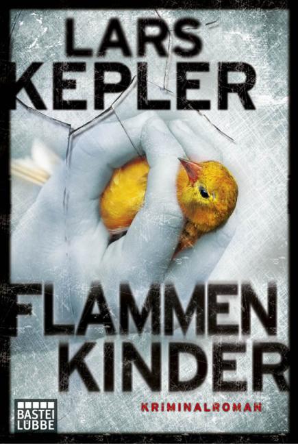 Cover-Bild Flammenkinder
